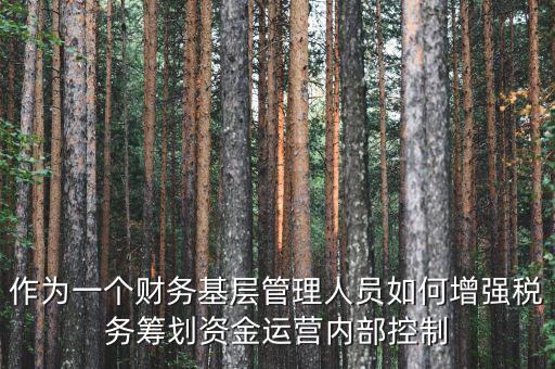 作為一個財務基層管理人員如何增強稅務籌劃資金運營內(nèi)部控制