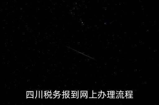 四川企業(yè)地稅如何網(wǎng)上申報(bào)系統(tǒng)，稅務(wù)申報(bào)如何網(wǎng)上申報(bào)