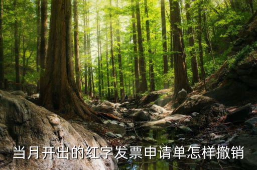 如何撤銷紅字發(fā)票申請書，紅字申請單如何作廢