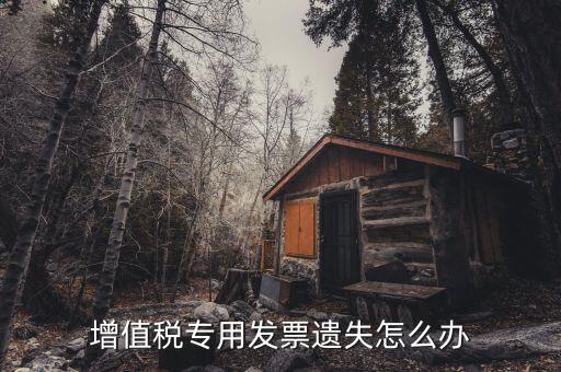 丟失專用發(fā)票如何，丟失空白增值稅專用發(fā)票如何處理