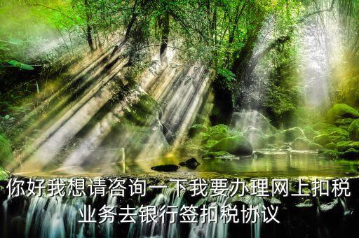 如何辦理稅庫(kù)銀，去稅務(wù)局辦理稅控盤(pán)需要什么資料流程怎么走呢