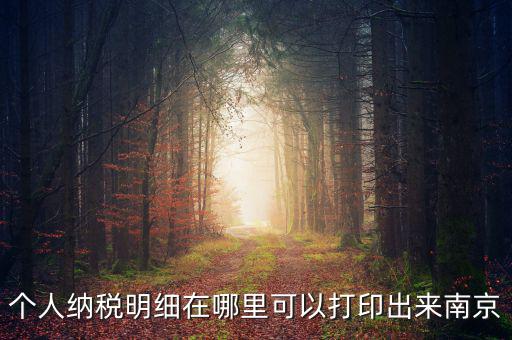 如何打印個(gè)稅明細(xì)，個(gè)人納稅明細(xì)在哪里可以打印出來(lái)南京