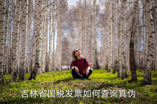 吉林省發(fā)票如何查真假，吉林省國稅發(fā)票如何查詢真?zhèn)?/></a></span><span id=