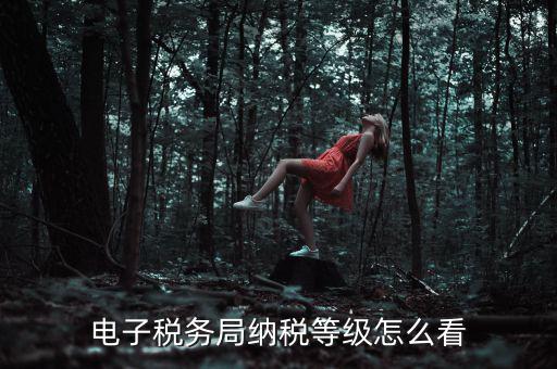 如何查詢納稅人納稅等級，電子稅務局納稅等級怎么看