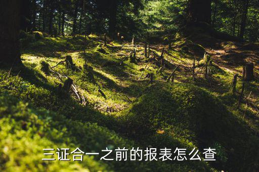 如何查三證合一之前的國稅數(shù)據(jù)，三證合一之前的報表怎么查
