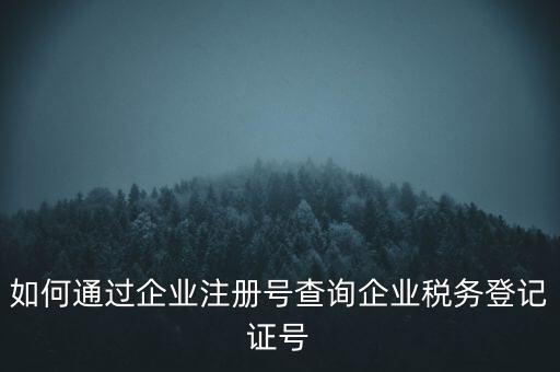 如何查詢公司稅務(wù)編號查詢系統(tǒng)，公司的稅務(wù)登記證號怎么查詢