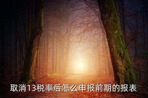 取消13稅率申報表如何填，13的稅率沒了納稅申報以后怎么辦