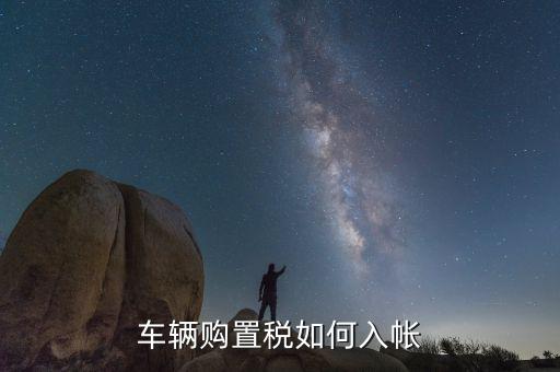 車購稅如何入賬，車輛購置稅如何入帳