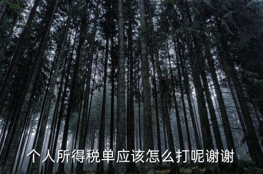 如何打印個人所得稅清單，請問如何打印個人個人所得稅繳款單據(jù)