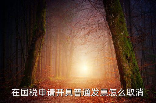 網(wǎng)上申領(lǐng)發(fā)票如何撤銷，已經(jīng)申報(bào)了的發(fā)票怎么作廢