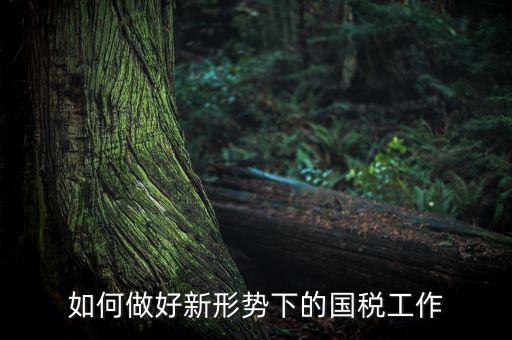 如何貫徹國稅工作會議上的講話，如何貫徹落實國稅系統(tǒng)化政府采購工作規(guī)范