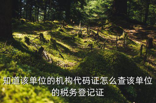 如何查企業(yè)稅務(wù)登記證號，公司的稅務(wù)登記證號怎么查詢