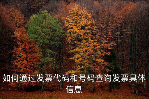 如何查詢發(fā)票詳細(xì)信息查詢，如何通過發(fā)票代碼和號(hào)碼查詢發(fā)票具體信息
