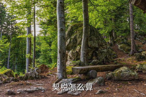 企業(yè)合并契稅如何計(jì)算，求高手解答如何計(jì)算企業(yè)應(yīng)繳納契稅并進(jìn)行契稅的會(huì)計(jì)處理