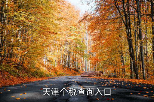 天津個(gè)稅如何查詢密碼，天津個(gè)稅查詢?nèi)肟?/></a></span><span id=