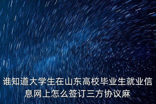 如何網(wǎng)上簽三方協(xié)議，網(wǎng)上簽三方協(xié)議的問題
