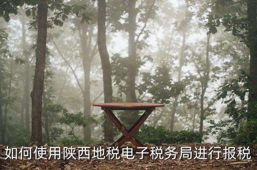 電子稅務(wù)局如何操作，如何使用陜西地稅電子稅務(wù)局進行報稅