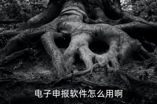 濟(jì)南電子稅務(wù)如何使用，網(wǎng)上辦稅平臺(tái)手機(jī)app怎么操作
