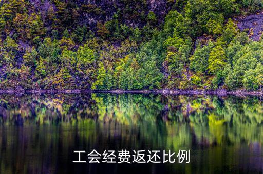 稅務(wù)局代收工會(huì)經(jīng)費(fèi)如何返還，工會(huì)經(jīng)費(fèi)交稅務(wù)局怎么返還