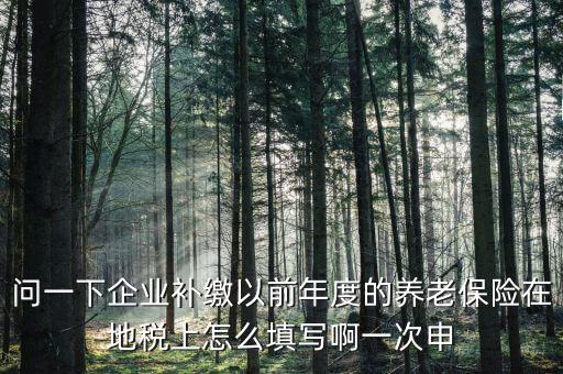 如何補(bǔ)打地稅社會(huì)保險(xiǎn)費(fèi)申報(bào)表，在網(wǎng)上交完社保后要怎樣補(bǔ)打社會(huì)保險(xiǎn)費(fèi)申報(bào)表