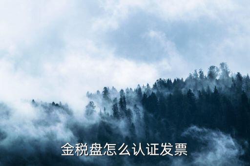 如何用金稅盤認(rèn)證發(fā)票，金稅盤怎么認(rèn)證發(fā)票