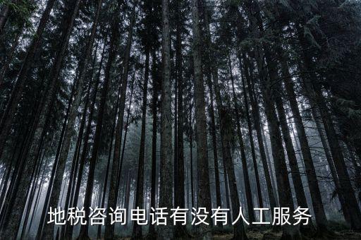 北京12366如何轉(zhuǎn)人工，我有關于北京稅務的問題因為很復雜你們有沒有電話可以直接溝通