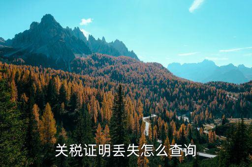 如何查納稅證明，個人的納稅證明網上能查嗎
