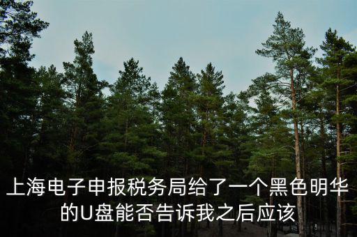 上海電子申報稅務局給了一個黑色明華的U盤能否告訴我之后應該