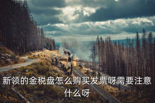 新公司如何購買金稅盤，新領(lǐng)的金稅盤怎么購買發(fā)票呀需要注意什么呀
