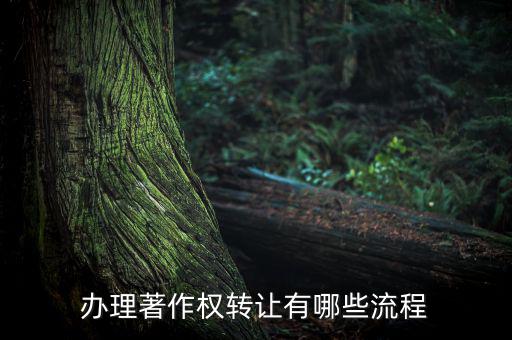 辦理著作權轉讓有哪些流程