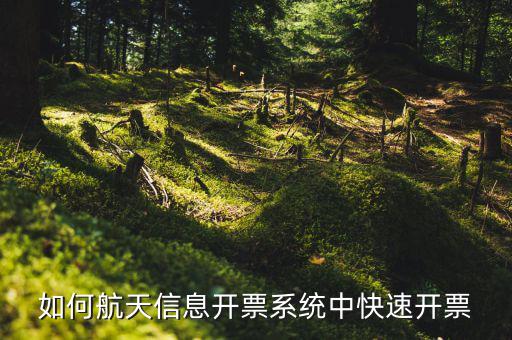 航天信息如何開票，怎么在航天信息開票軟件開紅字發(fā)票