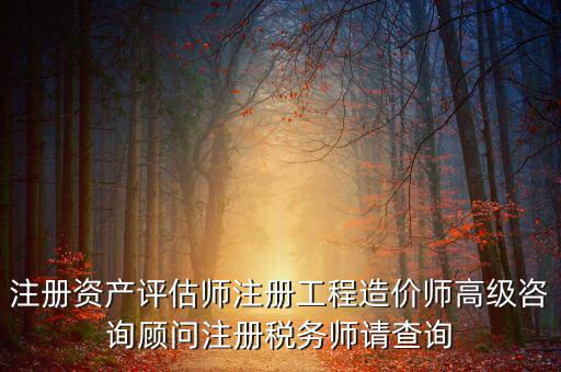 如何查詢稅務(wù)師信息，注冊(cè)稅務(wù)師報(bào)名時(shí)的信息哪里能查到