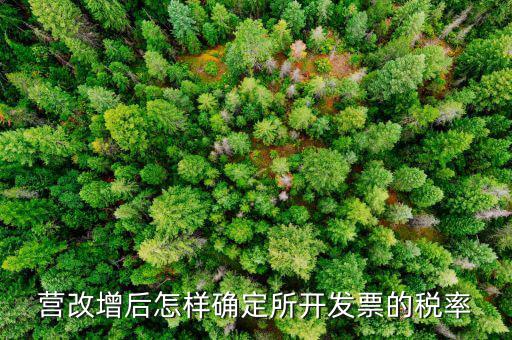 開票時稅率如何確認，發(fā)票的稅是怎么算的是不是數(shù)額越大要繳稅的百分比就越大比