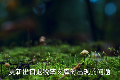 出口退稅文庫(kù)如何更新，請(qǐng)問(wèn)各位出口退稅系統(tǒng)里的代碼庫(kù)怎么更新啊怎么老沒(méi)反應(yīng)的呢