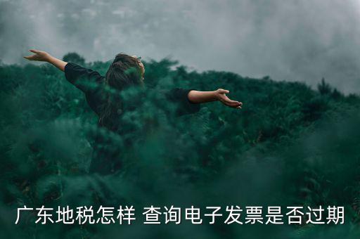 如何查詢電子發(fā)票是否有效，廣東地稅怎樣 查詢電子發(fā)票是否過期
