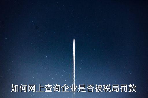 如何查稅務(wù)處罰，公司的稅務(wù)罰款去哪里查詢急