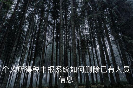 金三系統(tǒng)個稅申報人員如何刪除，如何刪掉個人所得稅人員信息