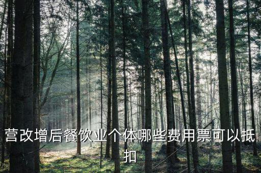 餐飲業(yè)如何抵扣，餐飲業(yè)無法向個(gè)人消費(fèi)者開具增值稅專用發(fā)票那怎么抵扣進(jìn)項(xiàng)稅