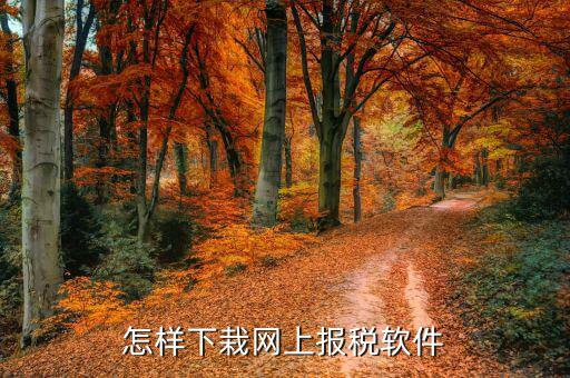 如何下載報(bào)稅軟件下載，怎么下載地稅納稅申報(bào)軟件