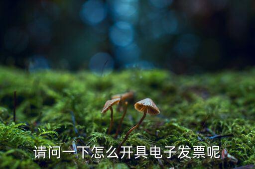 上海如何申領(lǐng)電子發(fā)票，請(qǐng)問(wèn)一下怎么開(kāi)具電子發(fā)票呢