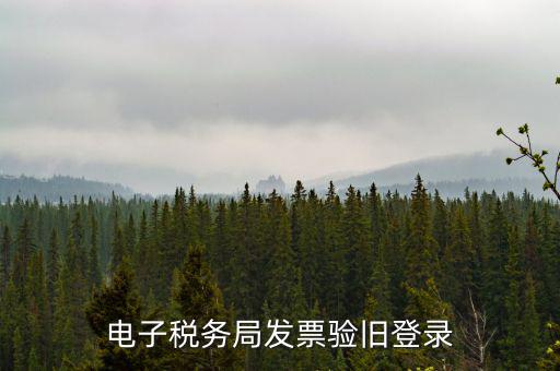 如何在電子稅務(wù)局驗(yàn)舊發(fā)票，發(fā)票怎么樣驗(yàn)舊