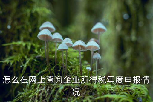 如何查詢(xún)企業(yè)個(gè)稅申報(bào)名單，怎樣查詢(xún)公司的所得稅已經(jīng)申報(bào)了