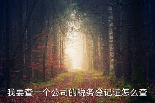 如何查企業(yè)的稅務(wù)登記證號，公司的稅務(wù)登記證號怎么查詢
