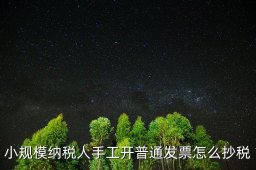小規(guī)模納稅人開票系統(tǒng)如何抄報(bào)稅，小規(guī)模稅款控盤如何抄報(bào)稅