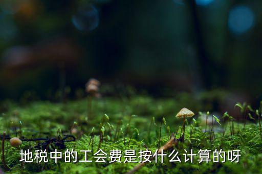 交地稅時(shí)的工會(huì)經(jīng)費(fèi)如何計(jì)算方法，地稅中的工會(huì)費(fèi)是按什么計(jì)算的呀