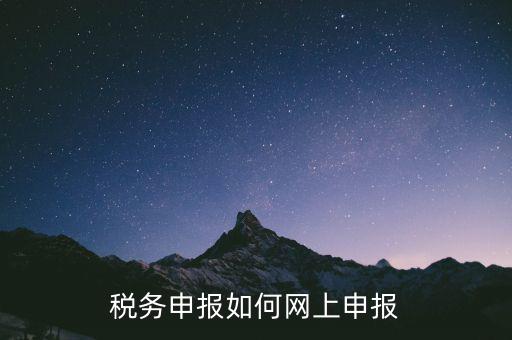網(wǎng)上系統(tǒng)如何申報(bào)稅，稅務(wù)申報(bào)如何網(wǎng)上申報(bào)