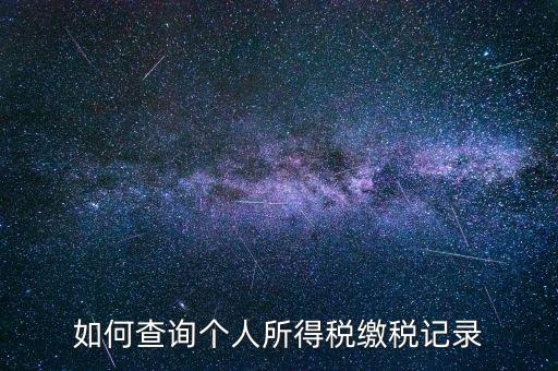 上海地稅局如何查個(gè)人所得稅繳稅記錄，上海市工資個(gè)稅繳納記錄如何查詢