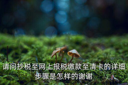 請問抄稅至網上報稅繳款至清卡的詳細步驟是怎樣的謝謝