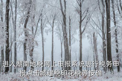 湖南省地稅局個人如何注冊，湖南地稅網(wǎng)上申報系統(tǒng)