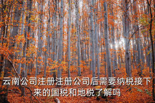 云南公司注冊(cè)注冊(cè)公司后需要納稅接下來的國(guó)稅和地稅了解嗎